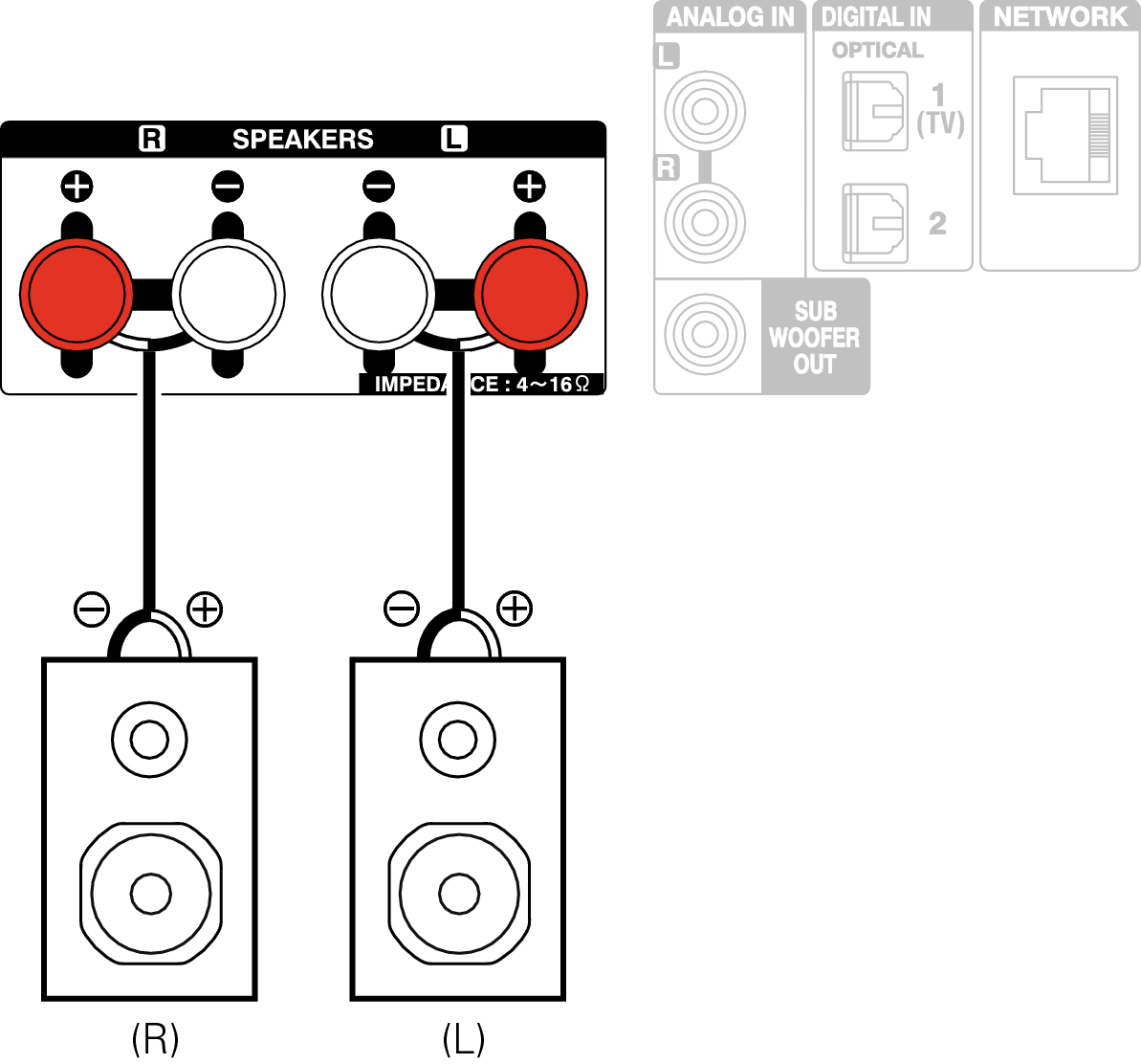 Conne Common SP RCDN10
